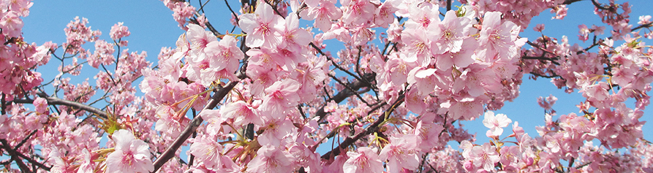 充実した毎日をバックアップ